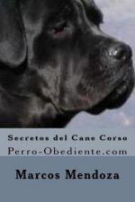 Secretos del Cane Corso: Perro-Obediente.com