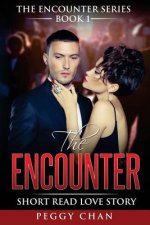 The Encounter Book 1: Short Read Love Story