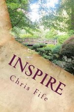 Inspire: Laying a Foundation