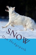 Snow: A Sean Tzu Mystery Thriller