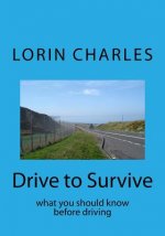 Drive to Survive: what you should know before driving