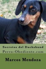 Secretos del Dachshund: Perro-Obediente.com