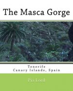 The Masca Gorge: Tenerife Canary Islands Spain