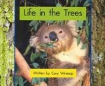 Springboard Lvl 8b: Life in the Trees