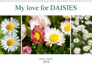 My love for daisies 2018