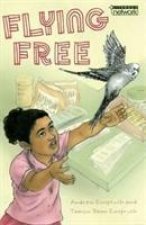 Literacy Network Middle Primary Mid Topic6:Flying Free