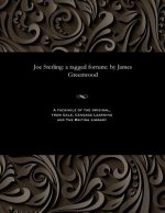 Joe Sterling