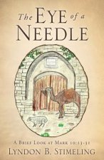Eye of a Needle