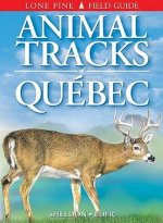 Animal Tracks of Quebec