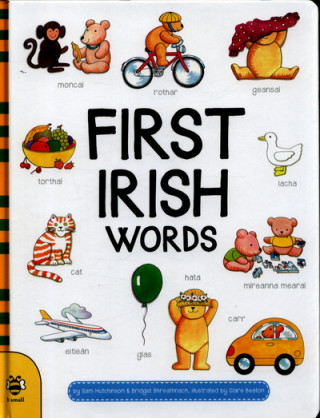 First Irish Words