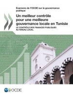 Examens de l'Ocde Sur La Gouvernance Publique Un Meilleur Controle Pour Une Meilleure Gouvernance Locale En Tunisie Le Controle Des Finances Publiques