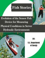Evolution of the Sensor Fish Device for Measuring Physical Conditions in Server Hydraulic Environments (Fish Stories)
