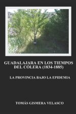 Guadalajara en los tiempos del colera (1834-1885): La provincia bajo la epidemia