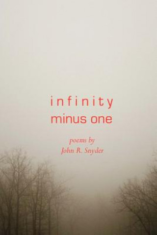 Infinity Minus One