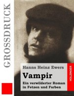 Vampir (Großdruck): Ein verwilderter Roman in Fetzen und Farben