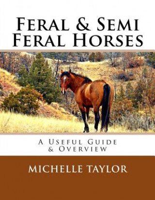 Feral & Semi Feral Horses: A Useful Guide & Overview