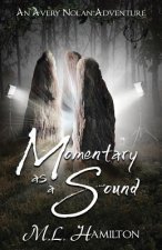 Momentary As A Sound