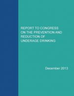 Report to Congress on the Prevention and Reduction of Underage Drinking