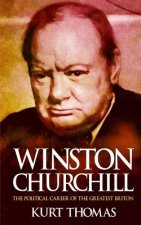 Winston Churchill: The political career of the greatest Briton