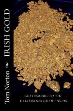 Irish Gold: ﻿Gettysburg to the California gold fields