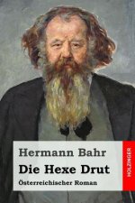 Die Hexe Drut: Österreichischer Roman