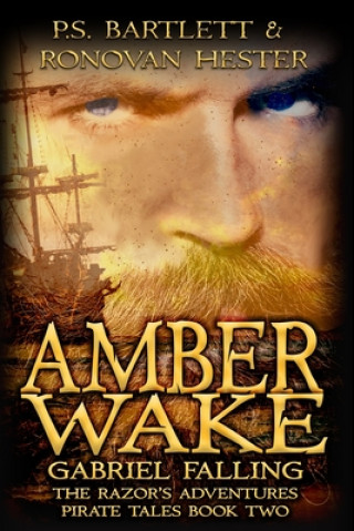 Amber Wake: Gabriel Falling