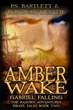 Amber Wake: Gabriel Falling