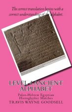 Level 4 Ancient Alphabet: Paleo-Hebrew Egyptian Hieroglyphic Matches