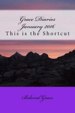 Grace Diaries January 2016: This is the Shortcut