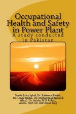 Occupational Health and Safety in a Power Plant: A study conducted in Pakistan