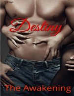 Destiny: The Awakening