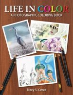 Life In Color: A Photographic Coloring Book