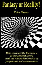 Fantasy or Reality?: How to replace the Black Hole of management theory with the bottom-line benefits of pragmatism and common sense