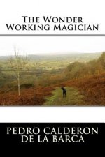 The Wonder Working Magician