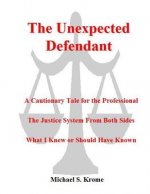 The Unexpected Defendant - A Cautionary Tale for the Professional: The Justice System from Both Side