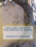 The Lost Sheep Of The House Of Israel
