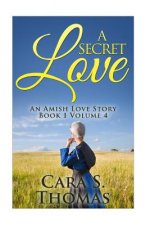 A Secret Love: An Amish Love Story (Book 1)