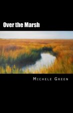 Over the Marsh