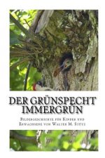 Der Grünspecht Immergrün: Bildergeschichte für Kinder und Erwachsene