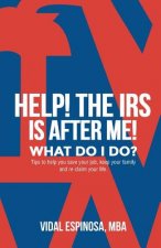 HELP! The IRS Is After Me. What Do I Do?: Tips to help you save your job, keep your family, and reclaim your life
