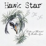 Hawk Star By The Sea