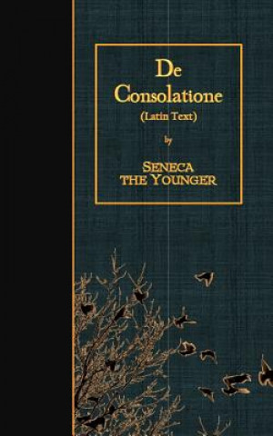 De Consolatione: Latin Text