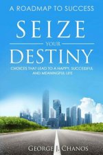 Seize Your Destiny: Choices That Lead to a Happy, Successful, and Meaningful Life.