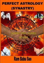 Perfect Astrology (Synastry): Partners Compatibility Astrology (Vedic)