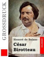 César Birotteau (Großdruck)