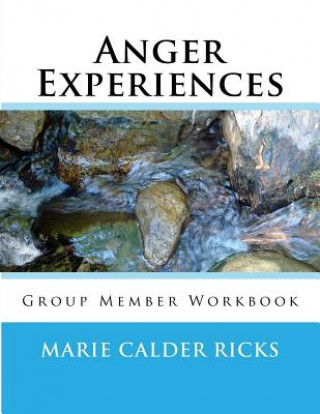 Anger Experiences: Group Member Workbook