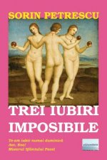 Trei Iubiri Imposibile: Roman