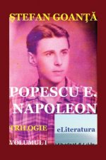 Popescu E. Napoleon. Volumul I: Roman