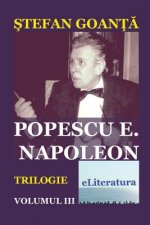 Popescu E. Napoleon. Volumul III: Roman