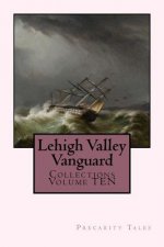 Lehigh Valley Vanguard Collections Volume TEN: Precarity Tales